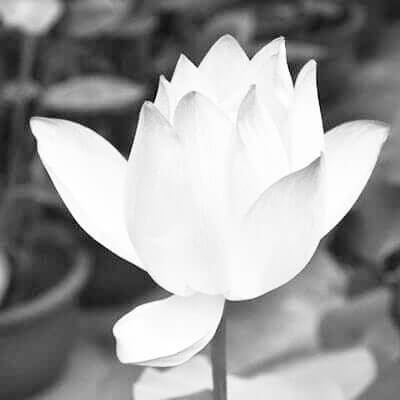 Clinica Stomatologie Valsan - Buzau